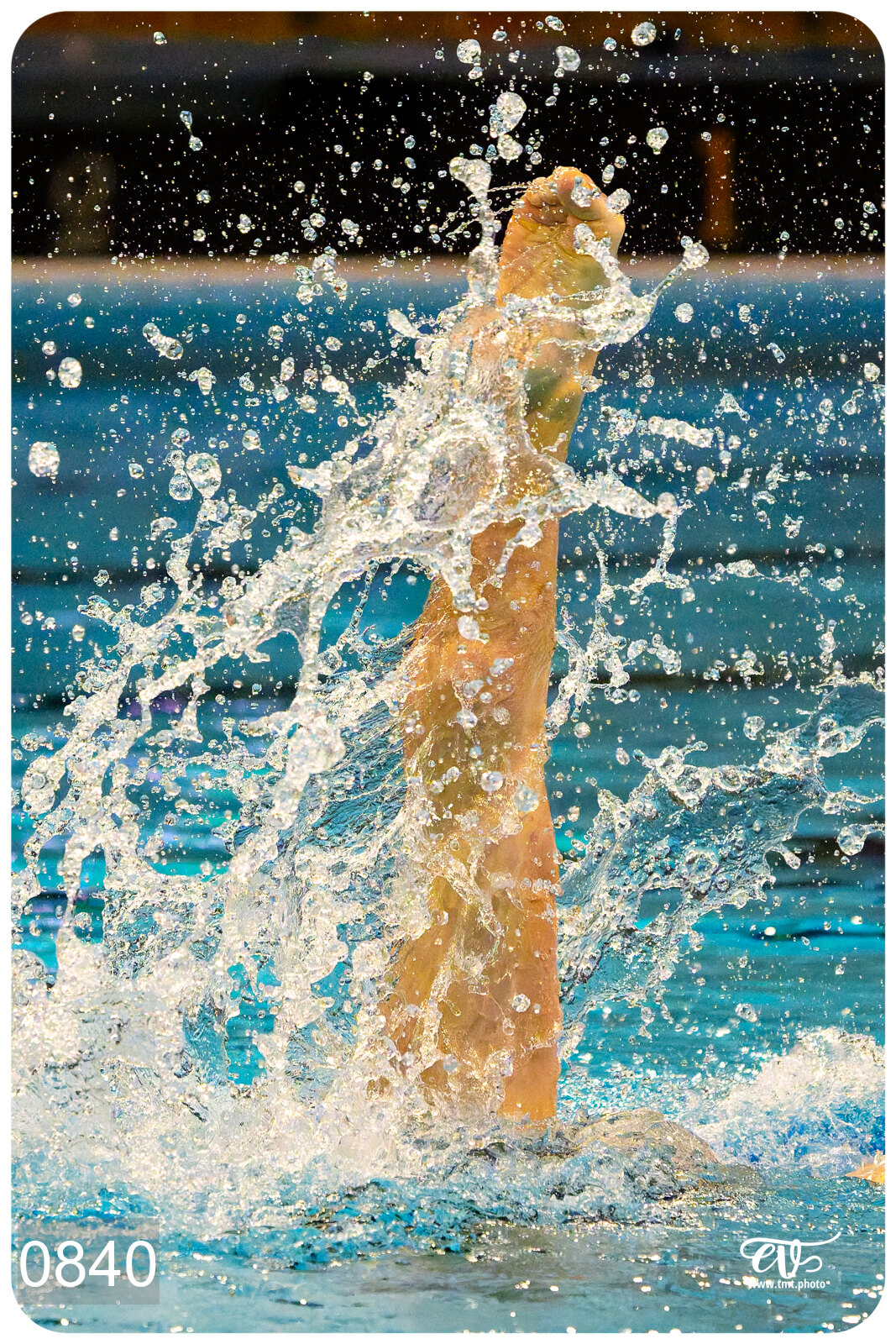 CHAMPIONNAT DE FRANCE DE NATATiON ARTISTIQUE N1 & ELITE 2026